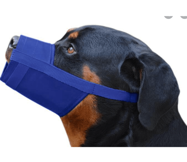 Adjustable Soft Nylon Muzzle for Dogs (Anti-Bite, Breathable)