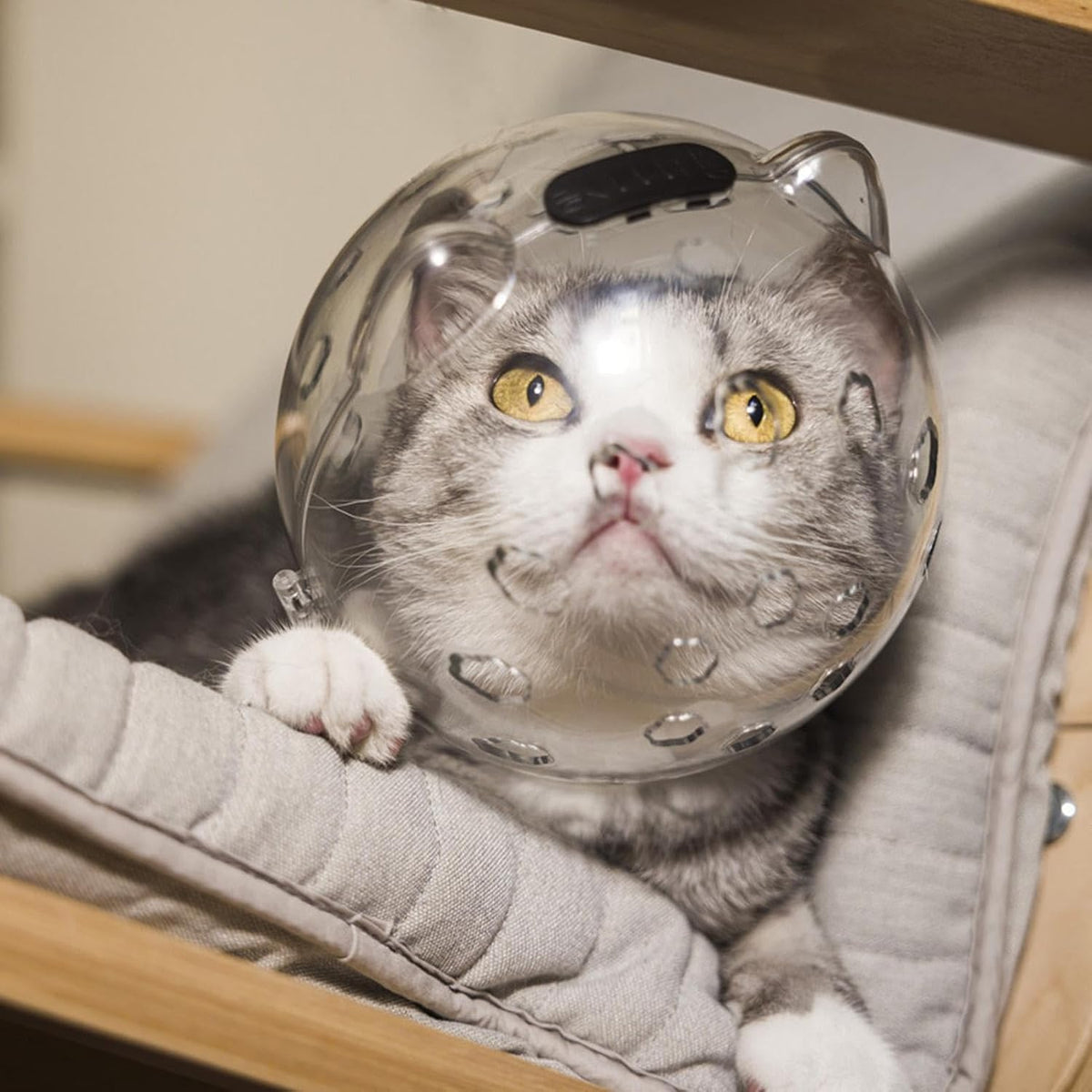 Cat Face Mask For Grooming Large (6.30 x 5.12)