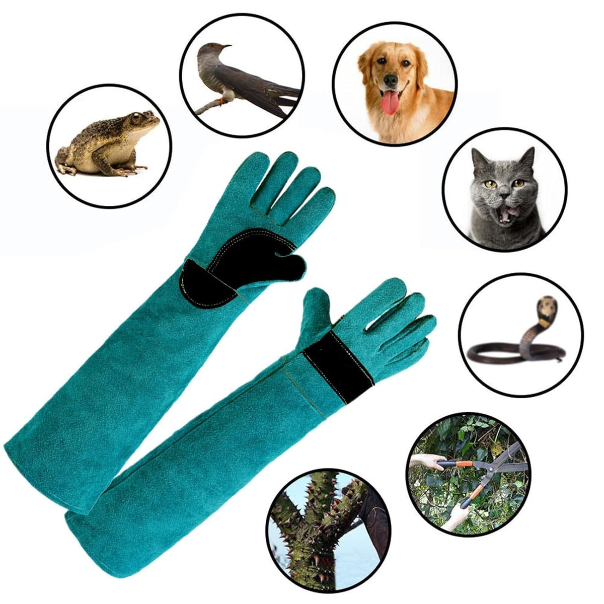 Cat Handling Glove Anti Bite and Anti Scratch