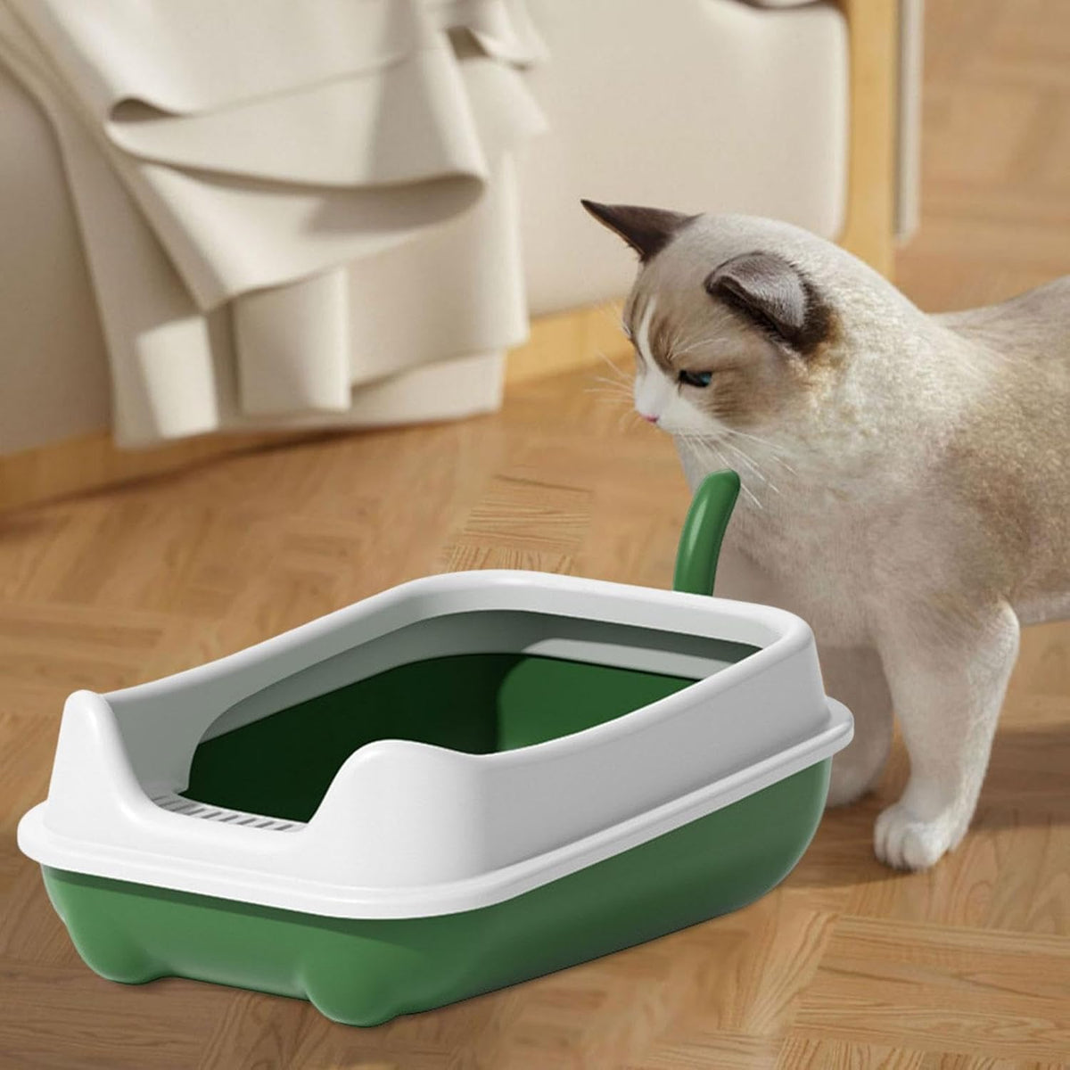 Cat Litter Box for Indoor Cats with Rim