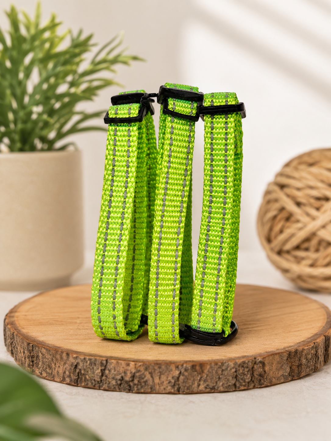 Neon Color Cat Collar