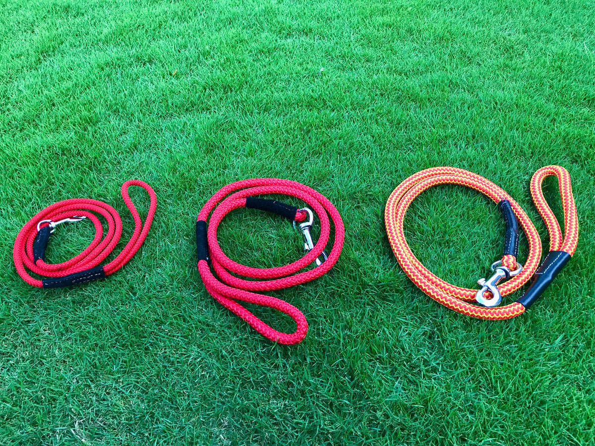 Heavy Duty Leash Rope for Adult Dogs