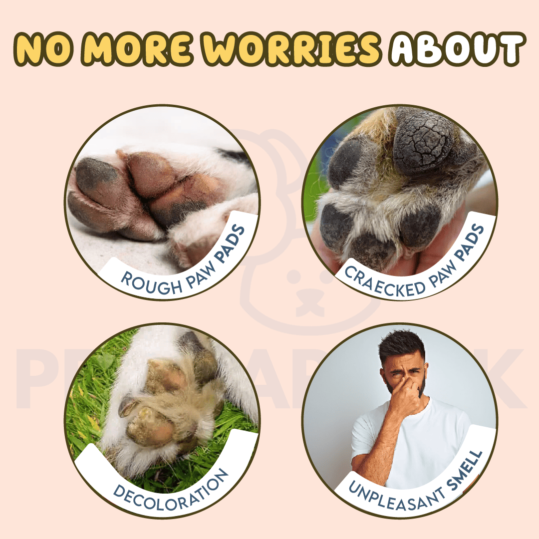 Natural Pet Paw Balm with Shea Butter and Vit E