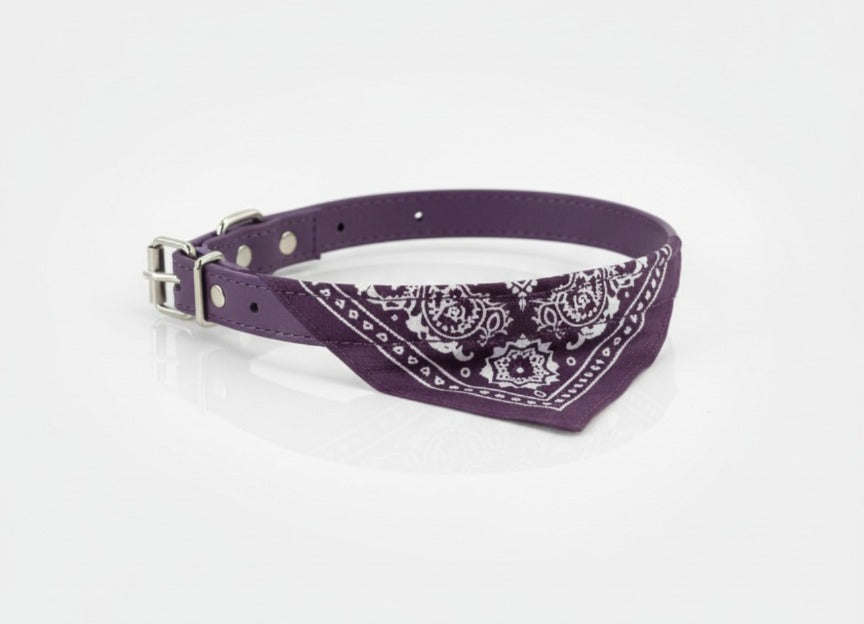PawStyle Bandana Collars