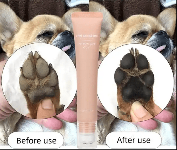 Pet Paw Moisturiser Ointment for Cats & Dogs 15 Grams (Free Delivery)