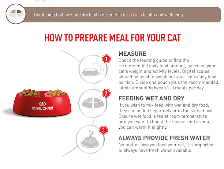Royal Canin Gastro Adult Cat 2Kg