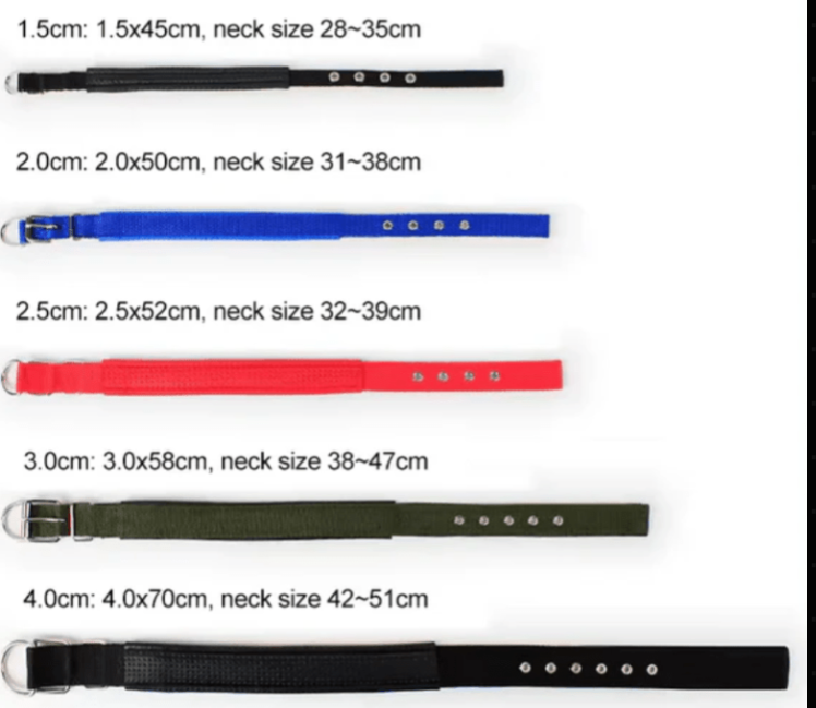 Durable Imported Nylon Dog Collar For Puppies & Dogs