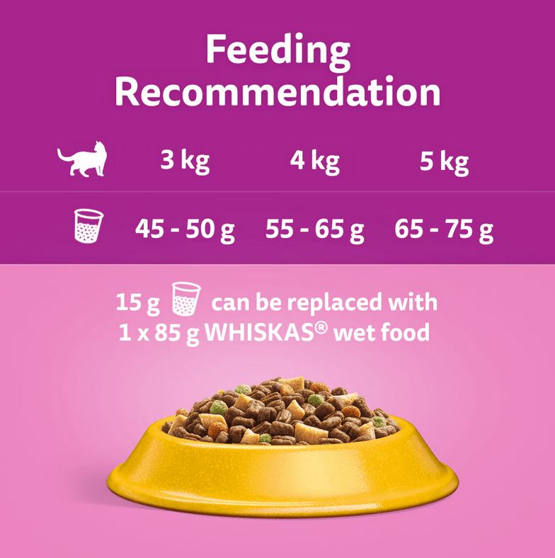 WHISKAS Dry Cat Food Chicken 1+ Years
