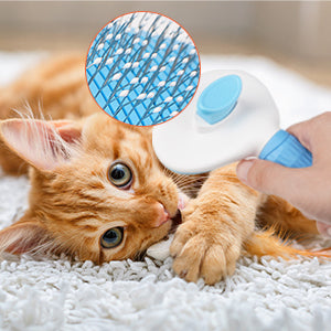 Cat Grooming