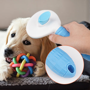 Dog Grooming