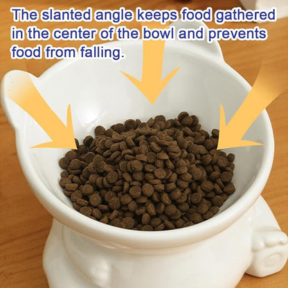 Anti-Vomiting Raised Cat Feeding Bowl