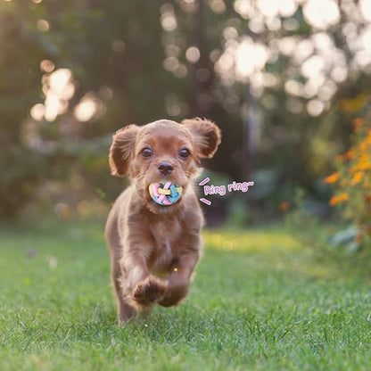 Interactive Teeth Training Ball Toy with Bell for Puppies