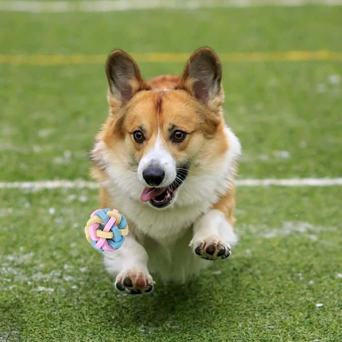 Interactive Teeth Training Ball Toy with Bell for Puppies