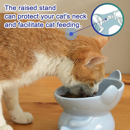 Anti-Vomiting Raised Cat Feeding Bowl