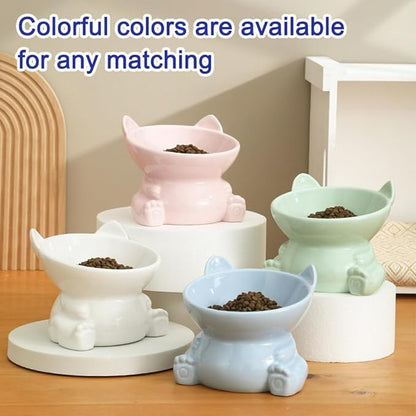 Anti-Vomiting Raised Cat Feeding Bowl