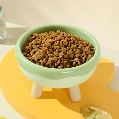Elevated Cat Food & Water Bowl