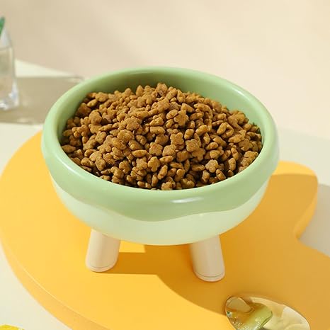 Elevated Cat Food & Water Bowl