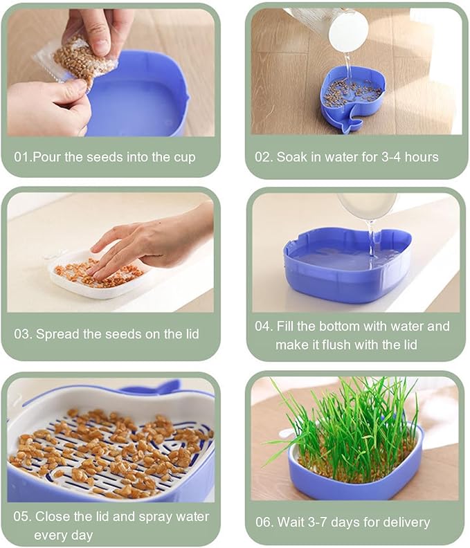 Whale Shape Cat Grass Tray