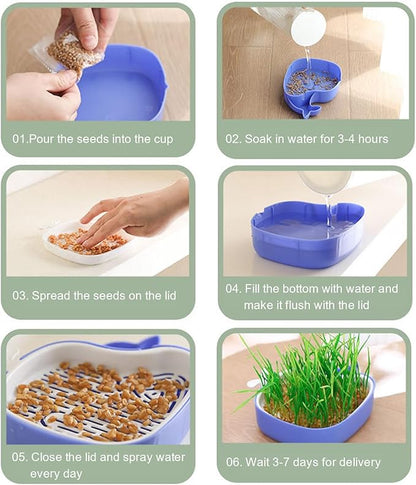 Whale Shape Cat Grass Tray