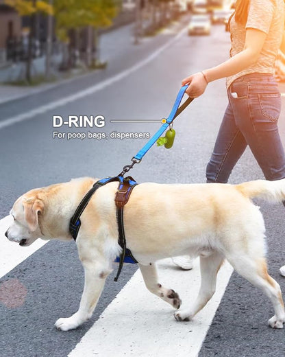 Padded Handle Reflective Puppy Leash