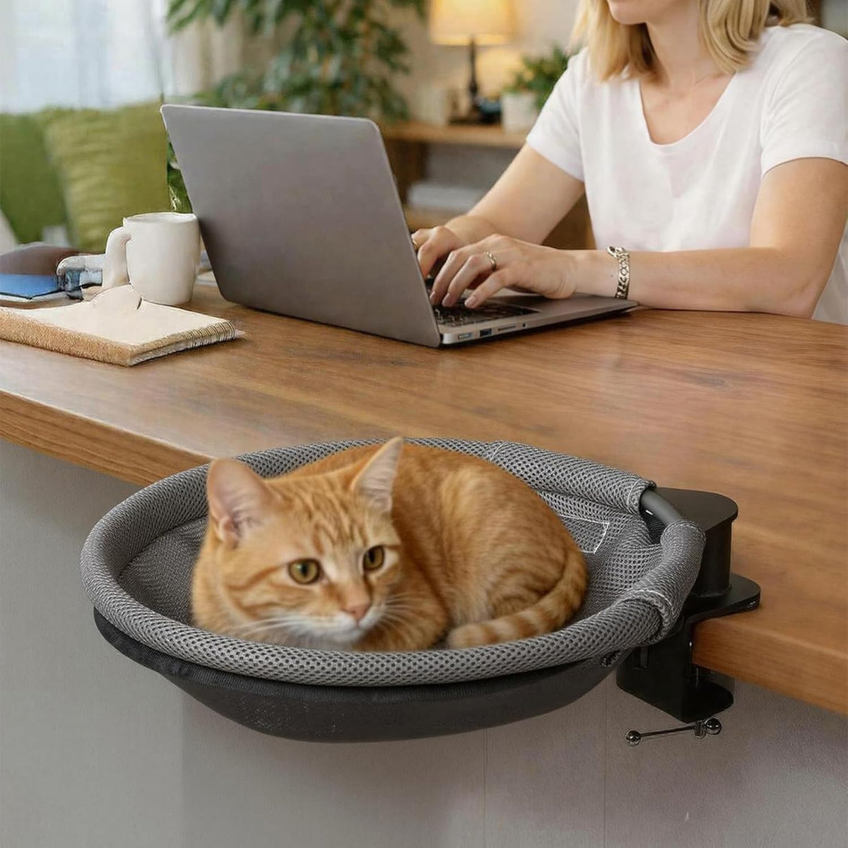 Top Med Cat Soft Table Side Hammock