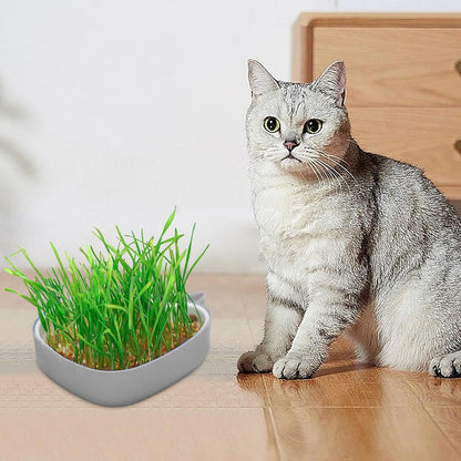 Whale Shape Cat Grass Tray