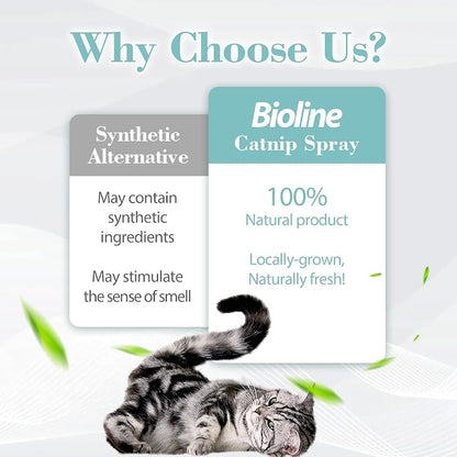 Bioline Catnip Spray For Cats 15ml