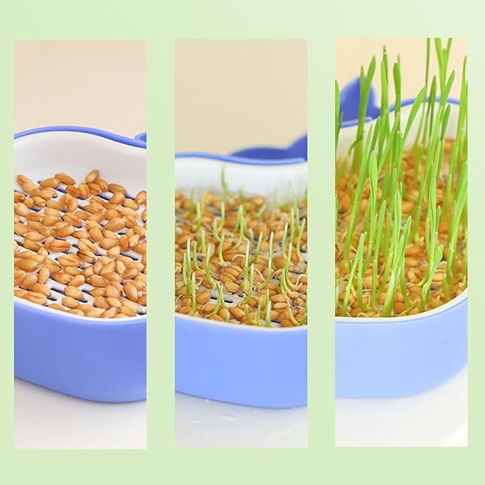 Whale Shape Cat Grass Tray