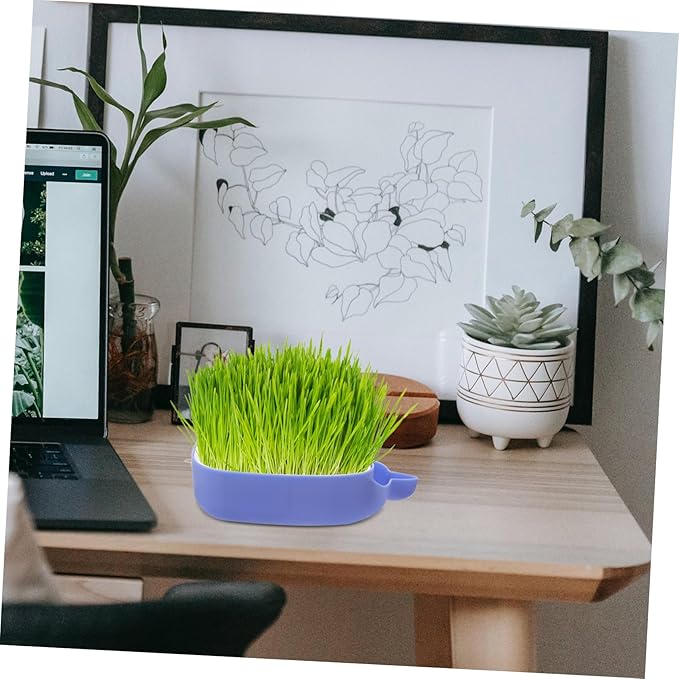 Whale Shape Cat Grass Tray