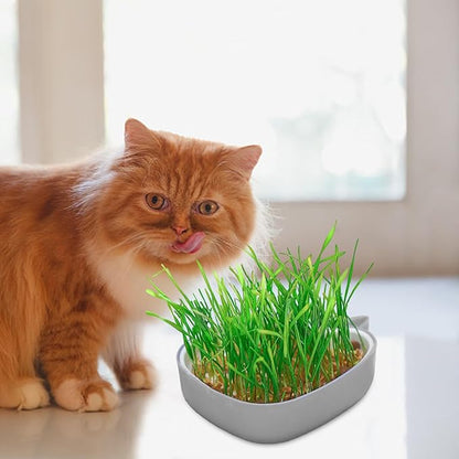Whale Shape Cat Grass Tray