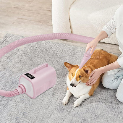 Professional Pet Hair Dryer with Adjustable Heat & Speed for Dogs & Cats