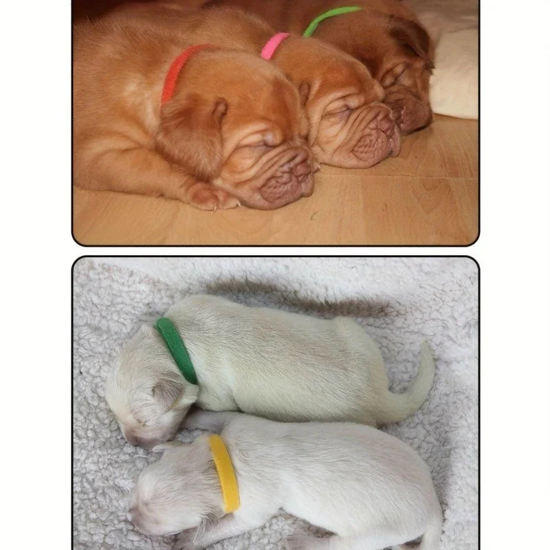 Adjustable ID Collars for Newborn Puppies and Kitten