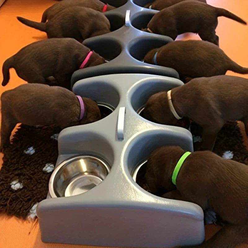 Adjustable ID Collars for Newborn Puppies and Kitten