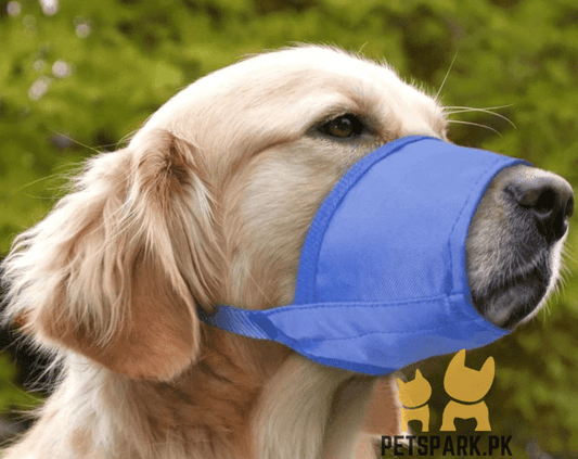 Adjustable Soft Nylon Muzzle for Dogs (Anti-Bite, Breathable)