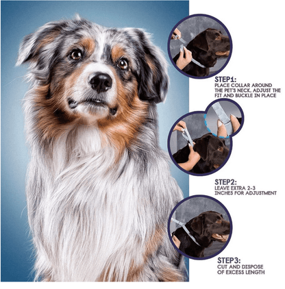 Anti Flea & Tick Collar (Ideal for Outdoor Cats & Dogs) FREE DELIVERY