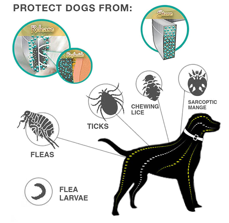 Anti Flea & Tick Collar (Ideal for Outdoor Cats & Dogs) FREE DELIVERY