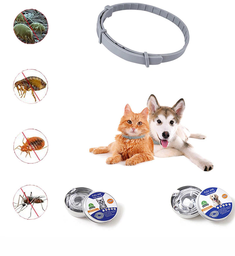 Anti Flea & Tick Collar (Ideal for Outdoor Cats & Dogs) FREE DELIVERY