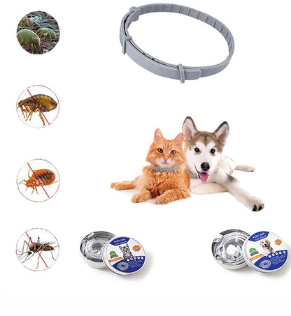 Anti Flea & Tick Collar (Ideal for Outdoor Cats & Dogs) FREE DELIVERY