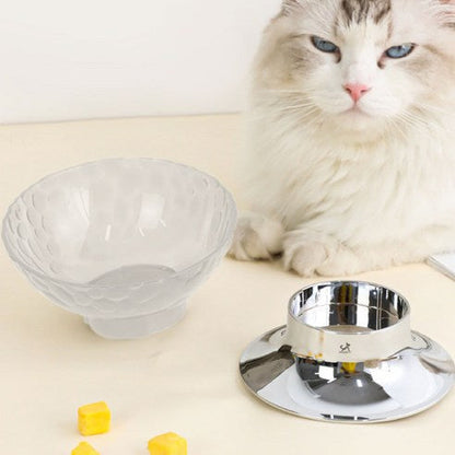 Anti-Vomiting Elevated Cat Bowl