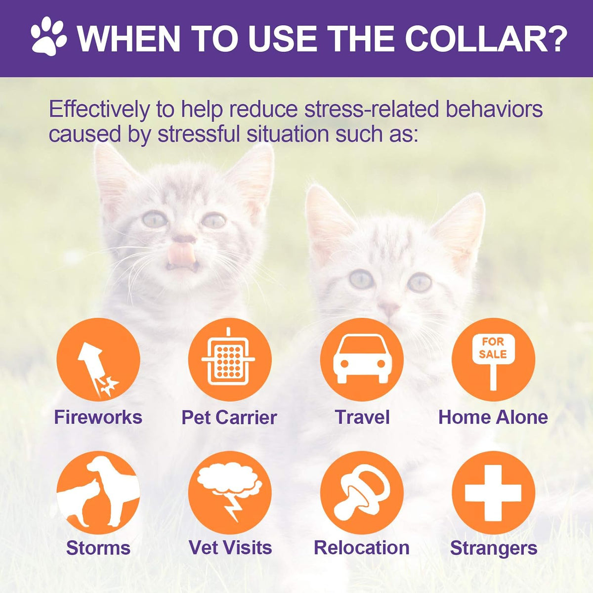 Anxiety Relief Pheromone Calming Collars for Cats and Dogs