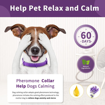 Anxiety Relief Pheromone Calming Collars for Cats and Dogs