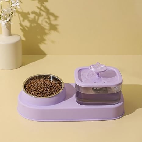 Automatic Pet Food and Water Dispenser