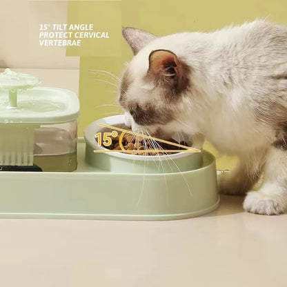 Automatic Pet Food and Water Dispenser