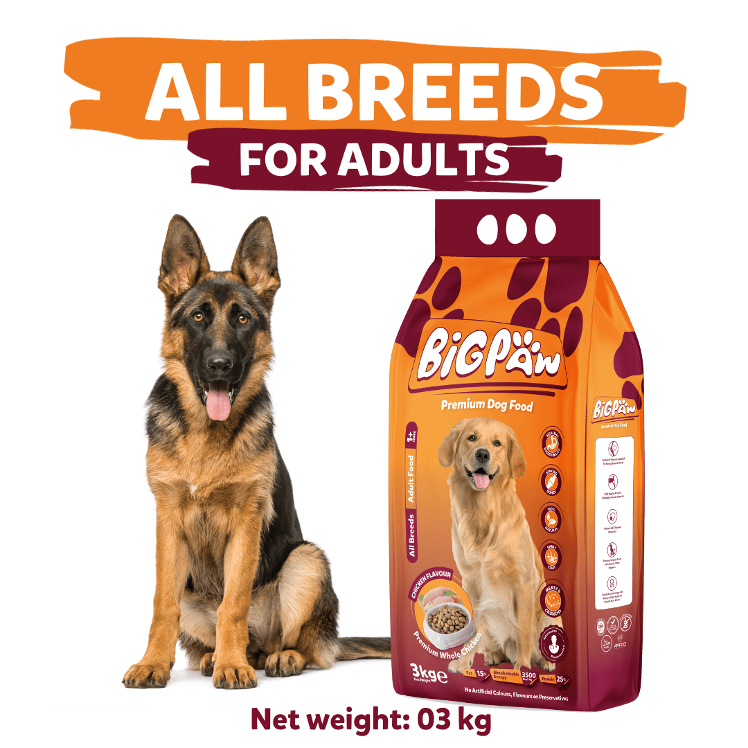 BigPaw Adult Dog Food – 3 KG