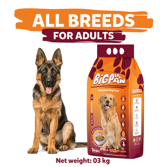 BigPaw Adult Dog Food – 3 KG