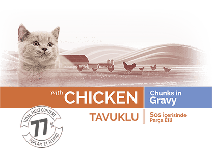 Bonacibo Kitten Gravy Chicken 85Grams