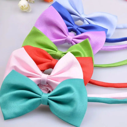 Bows for Cats and Small Puppies/Dogs