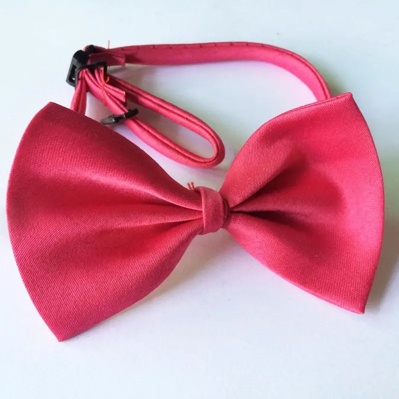 Bows for Cats and Small Puppies/Dogs