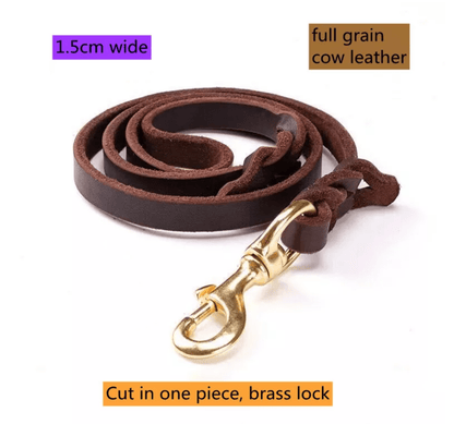 Brown GSD Show Leash for Dogs