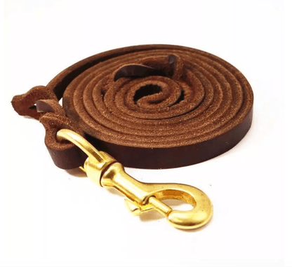 Brown GSD Show Leash for Dogs